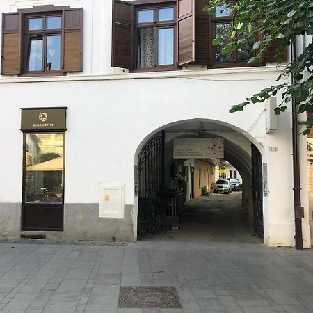 Gizell Apartment 1 Sibiu Exterior foto