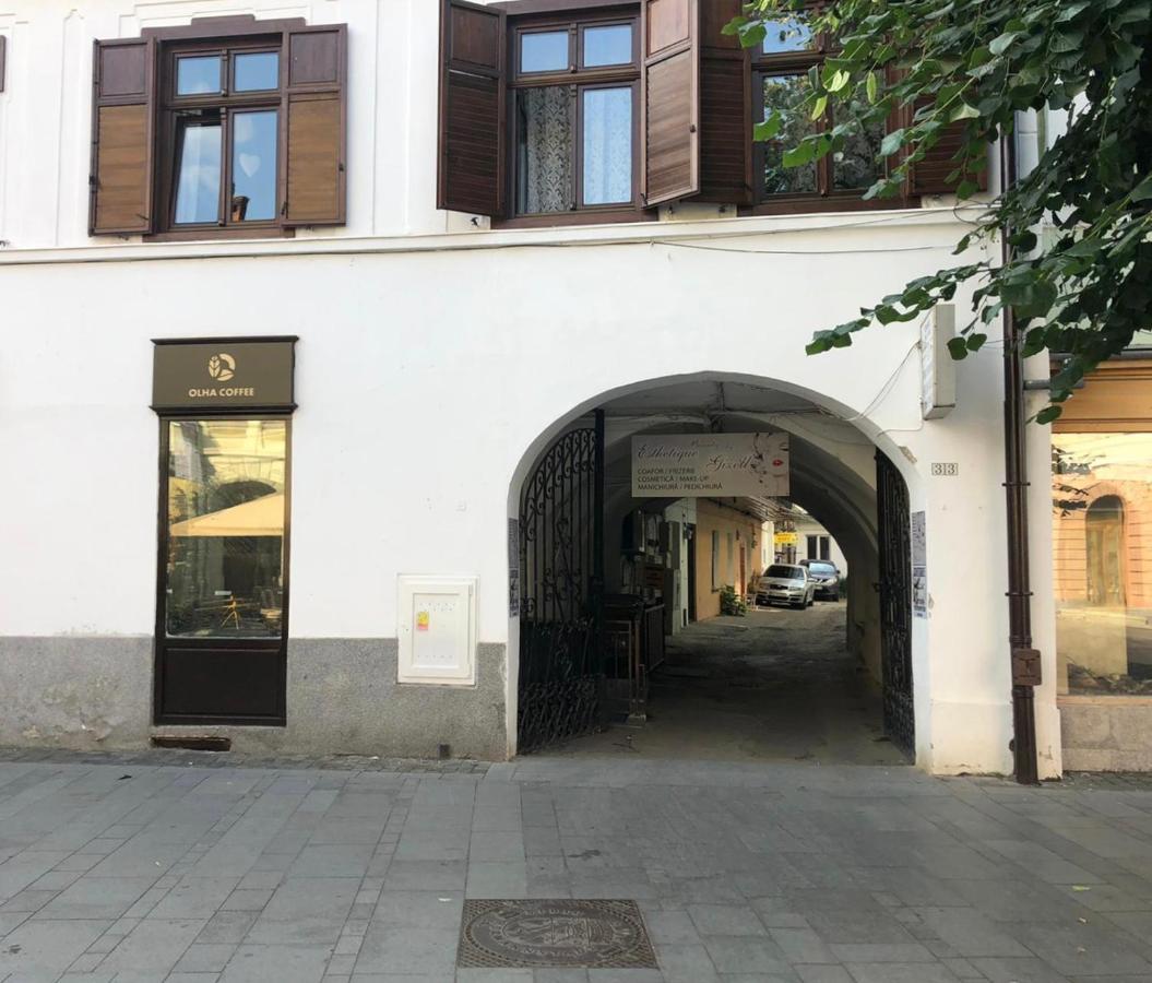 Gizell Apartment 1 Sibiu Exterior foto